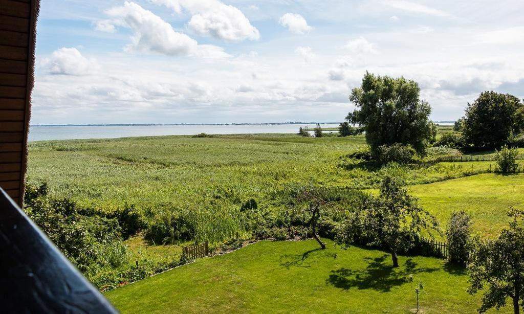 Apartmán Haus Am Bodden 03 Ahrenshoop Exteriér fotografie